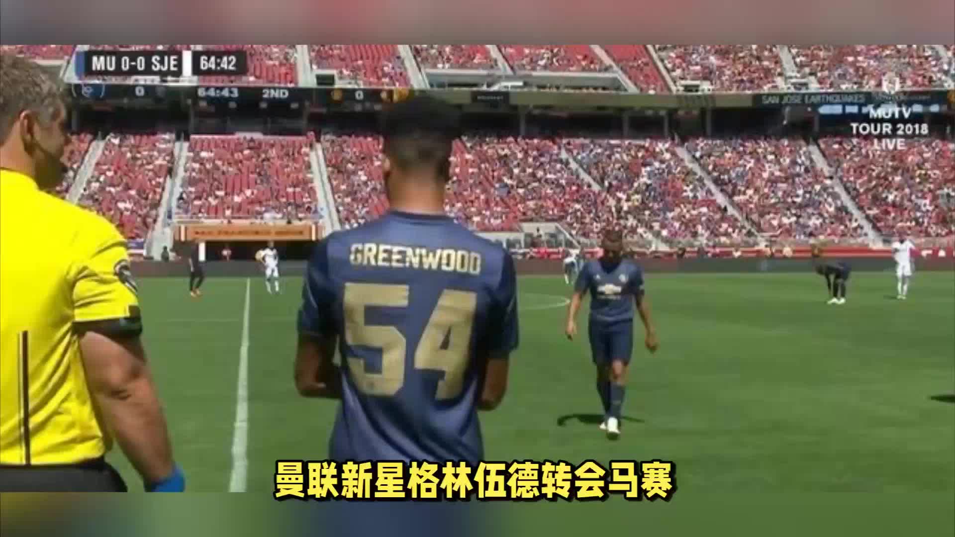 特灰熊仍然