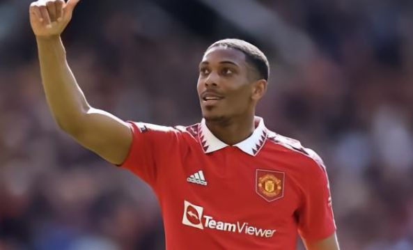 从而奠定比 从而奠定比